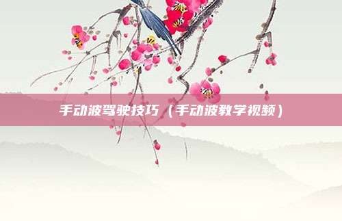 手动波驾驶技巧(手动波教学视频)