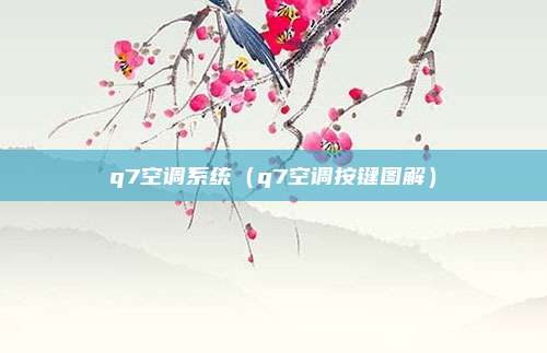 q7空调系统(q7空调按键图解)