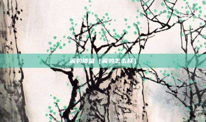 翼豹质量(翼豹怎么样)