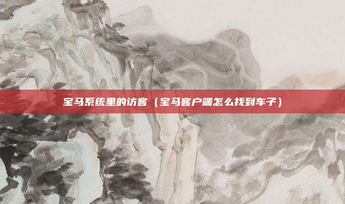 宝马系统里的访客（宝马客户端怎么找到车子）