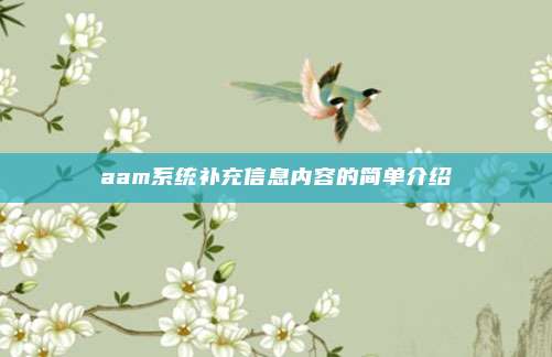 aam系统补充信息内容的简单介绍