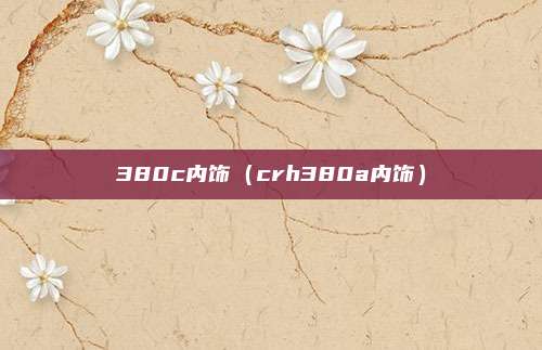 380c内饰（crh380a内饰）
