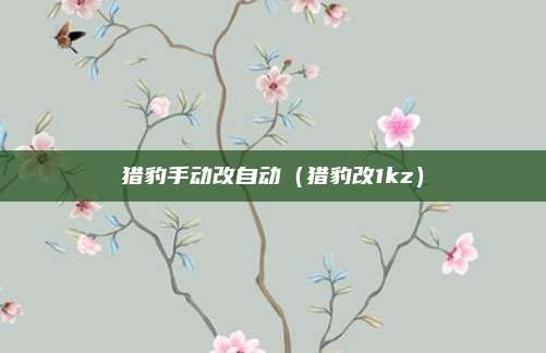 猎豹手动改自动（猎豹改1kz）