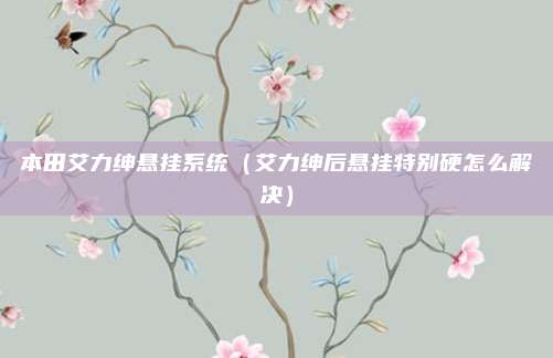本田艾力绅悬挂系统(艾力绅后悬挂特别硬怎么解决)