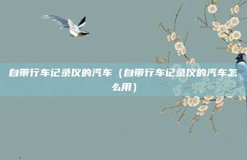 自带行车记录仪的汽车（自带行车记录仪的汽车怎么用）