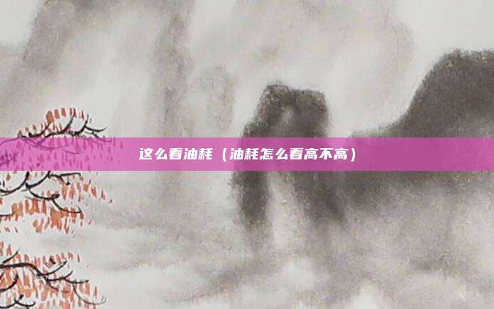 这么看油耗(油耗怎么看高不高)