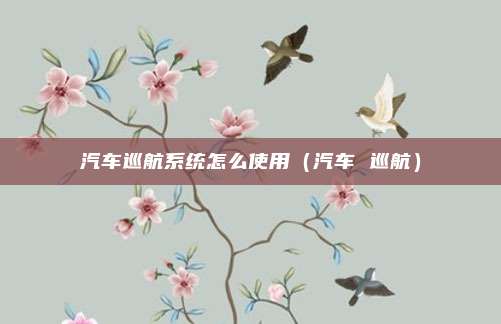 汽车巡航系统怎么使用（汽车 巡航）