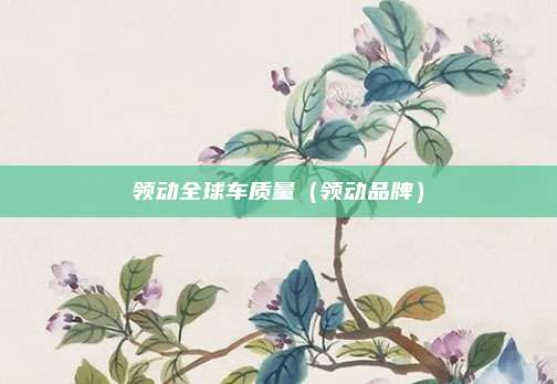 领动全球车质量（领动品牌）