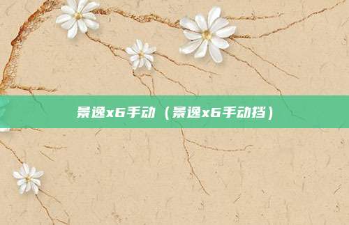景逸x6手动（景逸x6手动挡）