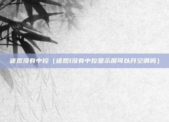 途观没有中控(途观l没有中控显示屏可以开空调吗)