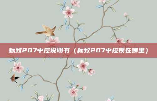 标致207中控说明书(标致207中控锁在哪里)