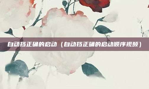 自动挡正确的启动(自动挡正确的启动顺序视频)