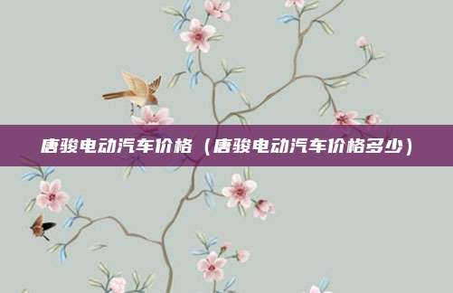 唐骏电动汽车价格(唐骏电动汽车价格多少)