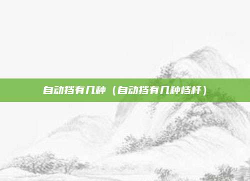 自动挡有几种（自动挡有几种档杆）