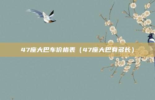 47座大巴车价格表（47座大巴有多长）