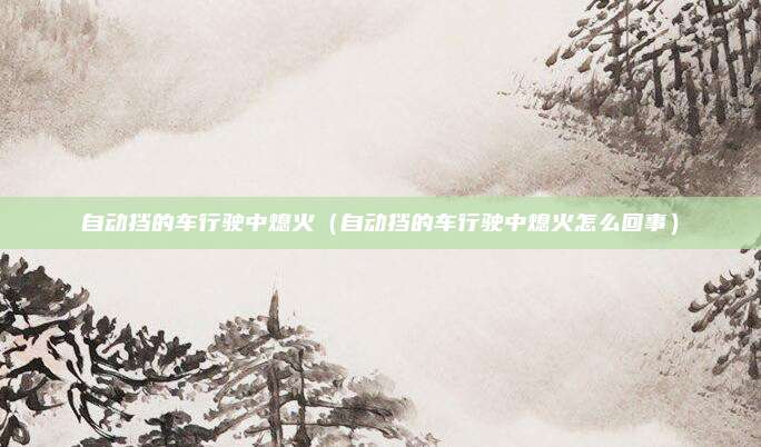自动挡的车行驶中熄火（自动挡的车行驶中熄火怎么回事）