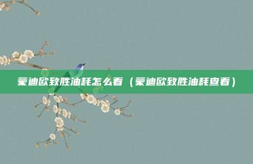 蒙迪欧致胜油耗怎么看(蒙迪欧致胜油耗查看)