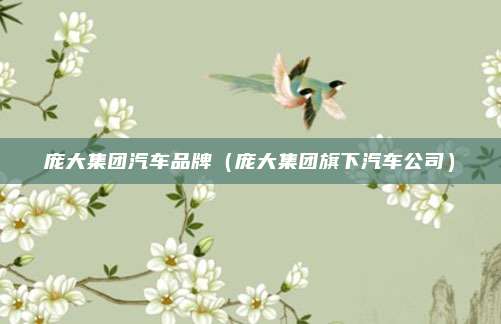 庞大集团汽车品牌（庞大集团旗下汽车公司）
