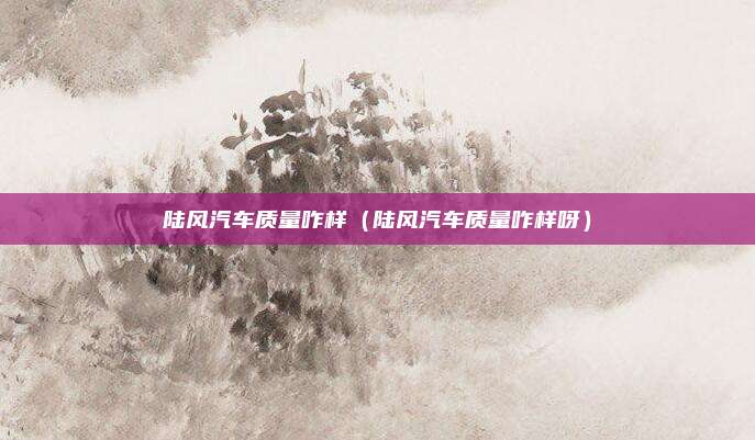 陆风汽车质量咋样（陆风汽车质量咋样呀）