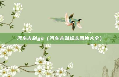 汽车吉利gs（汽车吉利标志图片大全）