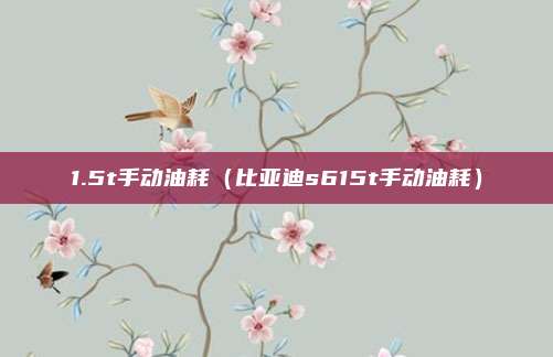 1.5t手动油耗（比亚迪s615t手动油耗）