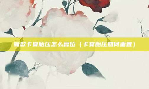 新款卡宴胎压怎么复位（卡宴胎压如何重置）