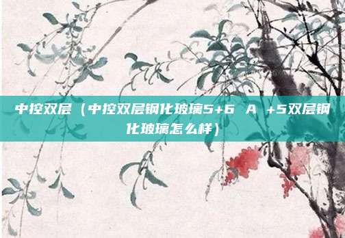 中控双层（中控双层钢化玻璃5+6 A +5双层钢化玻璃怎么样）