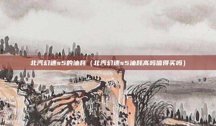 北汽幻速s5的油耗(北汽幻速s5油耗高吗值得买吗)