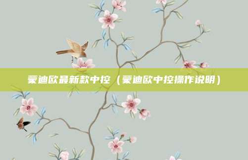 蒙迪欧最新款中控(蒙迪欧中控操作说明)