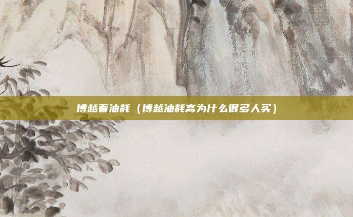 博越看油耗（博越油耗高为什么很多人买）