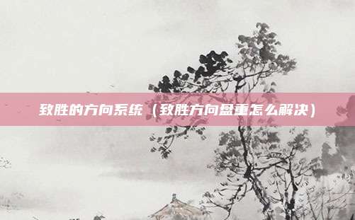 致胜的方向系统(致胜方向盘重怎么解决)