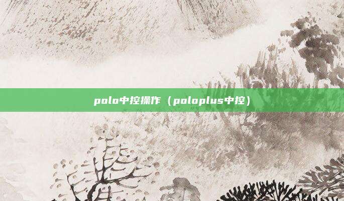 polo中控操作（poloplus中控）