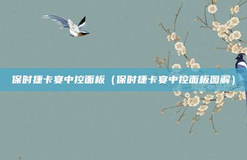 保时捷卡宴中控面板（保时捷卡宴中控面板图解）