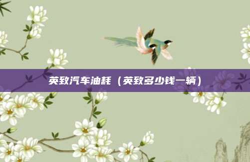 英致汽车油耗（英致多少钱一辆）