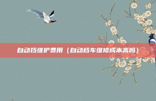 自动挡维护费用（自动档车维修成本高吗）