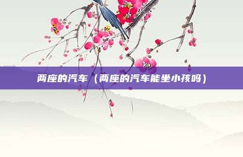 两座的汽车（两座的汽车能坐小孩吗）