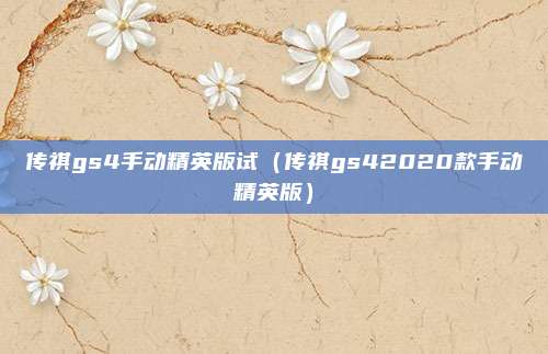 传祺gs4手动精英版试（传祺gs42020款手动精英版）