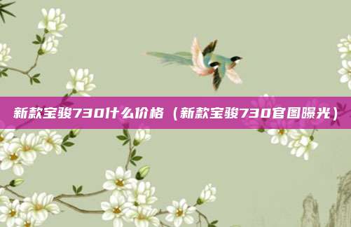 新款宝骏730什么价格（新款宝骏730官图曝光）