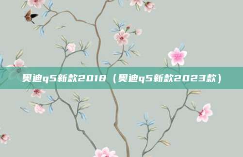 奥迪q5新款2018（奥迪q5新款2023款）
