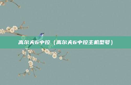 高尔夫6中控（高尔夫6中控主机型号）