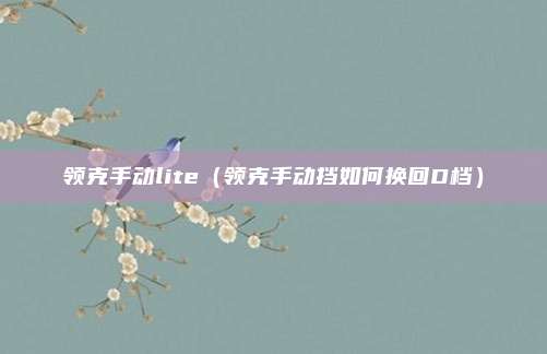 领克手动lite（领克手动挡如何换回D档）