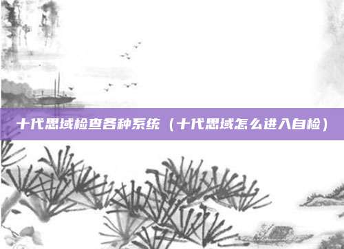 十代思域检查各种系统(十代思域怎么进入自检)