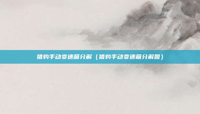 猎豹手动变速箱分解(猎豹手动变速箱分解图)