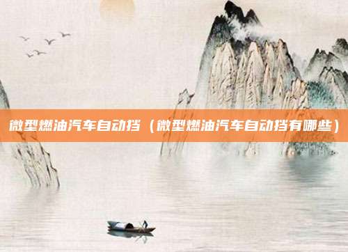 微型燃油汽车自动挡(微型燃油汽车自动挡有哪些)
