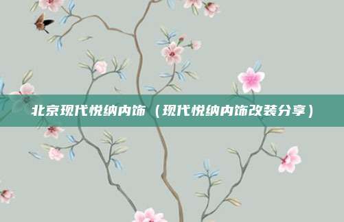 北京现代悦纳内饰(现代悦纳内饰改装分享)