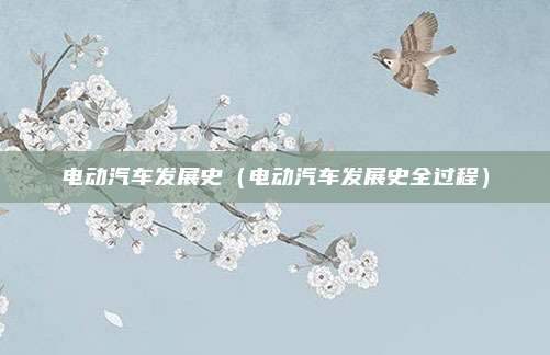 电动汽车发展史(电动汽车发展史全过程)