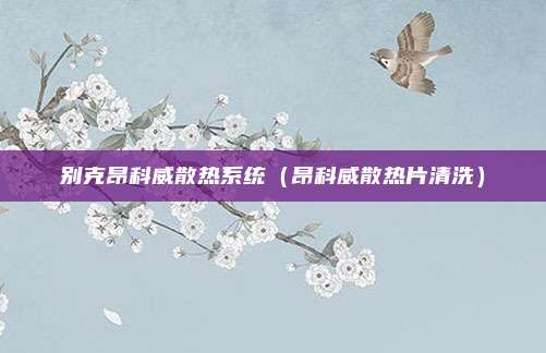 别克昂科威散热系统（昂科威散热片清洗）