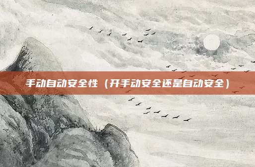 手动自动安全性(开手动安全还是自动安全)