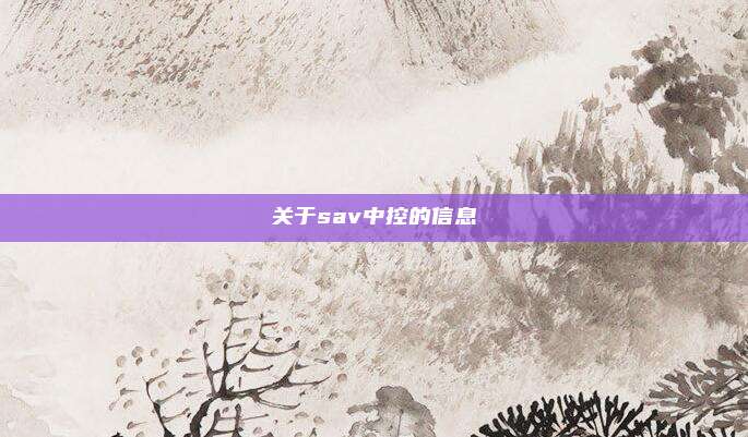 关于sav中控的信息