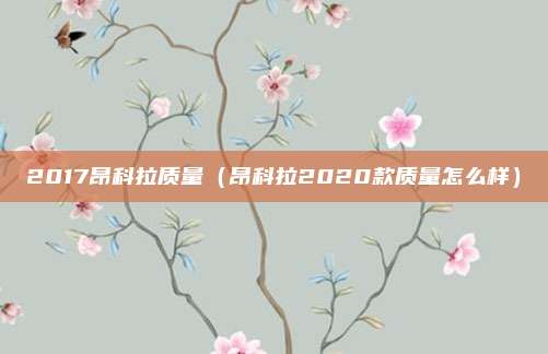 2017昂科拉质量(昂科拉2020款质量怎么样)